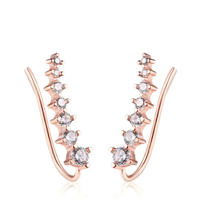 RoséLuxe™ Zircon Drop Hook Earrings – Pure Elegance in Every Sparkle